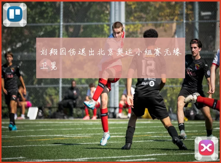 刘翔因伤退出北京奥运小组赛无缘卫冕
