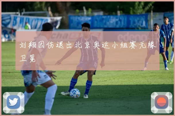 刘翔因伤退出北京奥运小组赛无缘卫冕